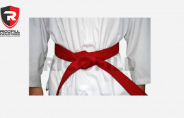 Martial Arts Belt